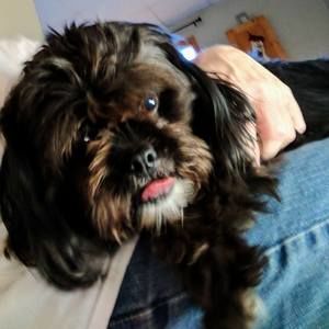 Meet your Posher, Vicki